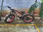 Fat Tire Bicycle
