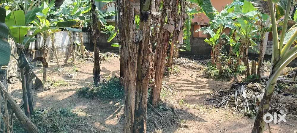 7 CENTS PRIME RESIDENTIAL PLOT FOR SALE NEAR KOCHULLOOR