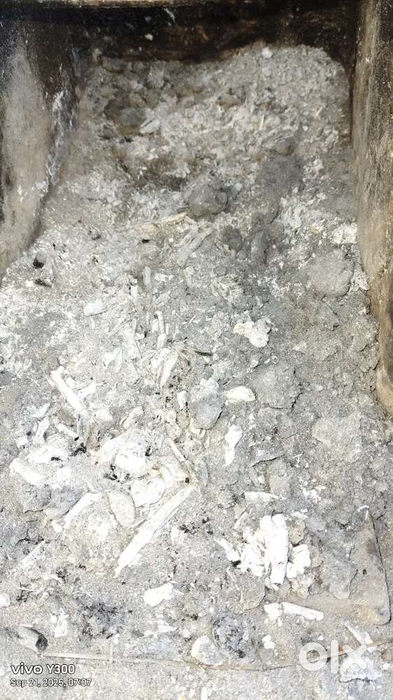 लकड़ी की राख
