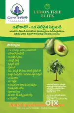 Best for investment and yearly income after 5 years