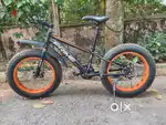 Fat tire Bicycle