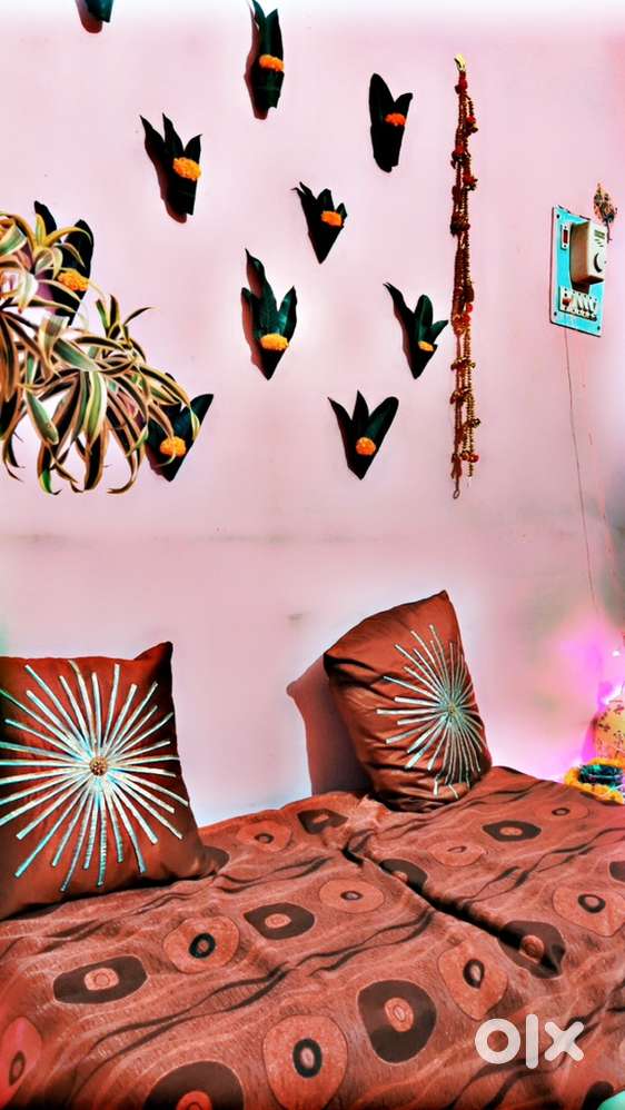 Need 1 Female Roomate