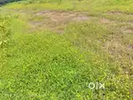 Plot for sale