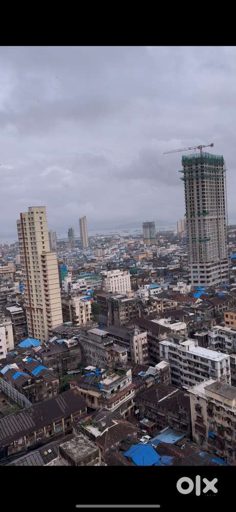 1bhk flat is available on rent