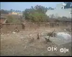 5.25 Marla plot for sale in new fatehgarh