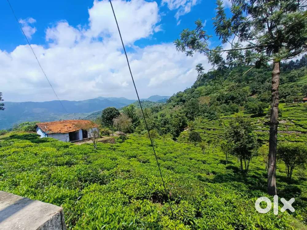 Residential property