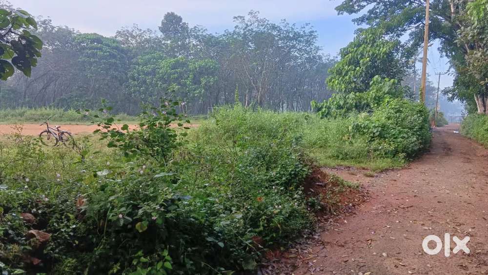 Plot for sale at Muvattupuzha