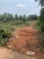 24 cent land for sale at New copa