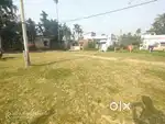 Meyadi patta land for sale