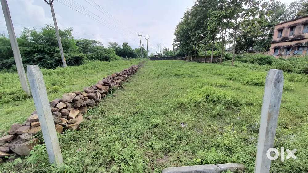 Amazing plot for sale in Mulugu