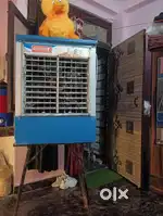 Desert cooler