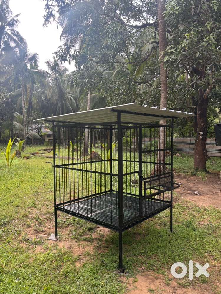 Cage 4*4*4.5 new condition( 1 year used)