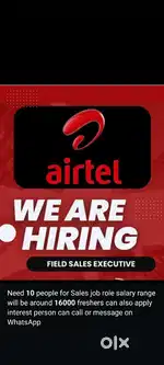Field sales executive