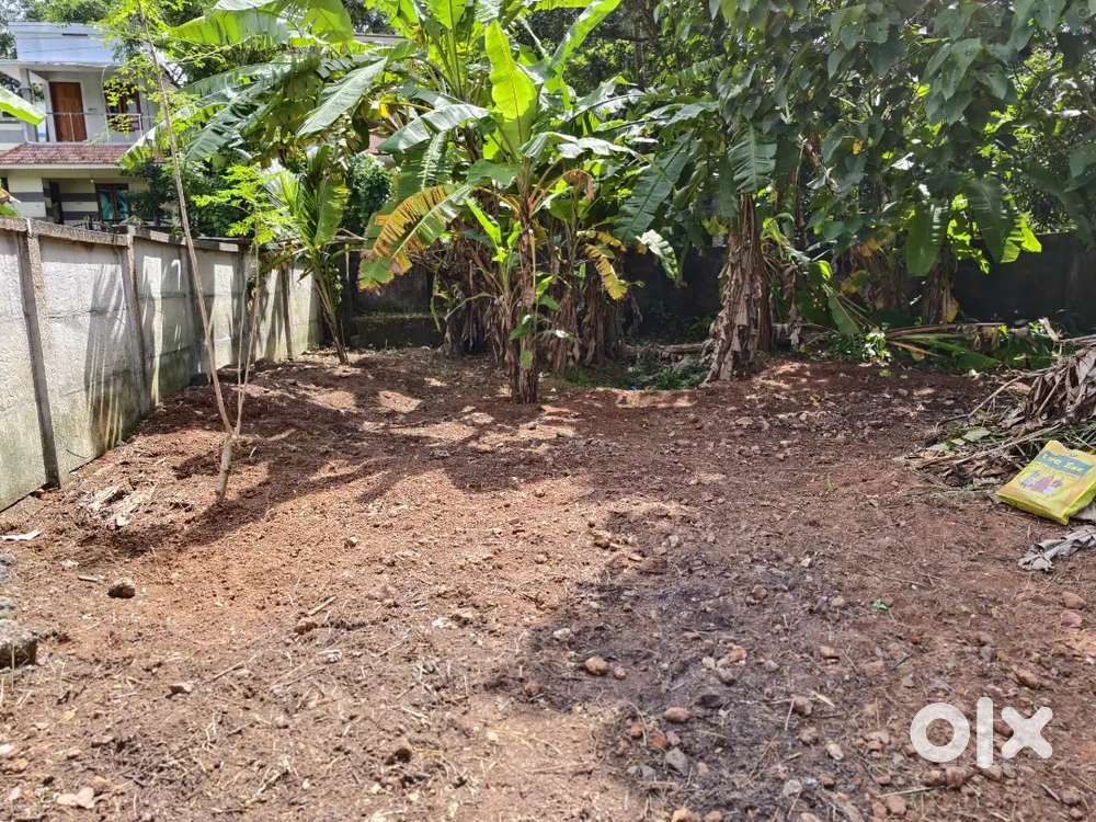 Plot for sale