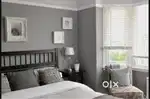 Looking for female Roommates