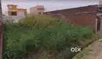Plot for sale in Chinore