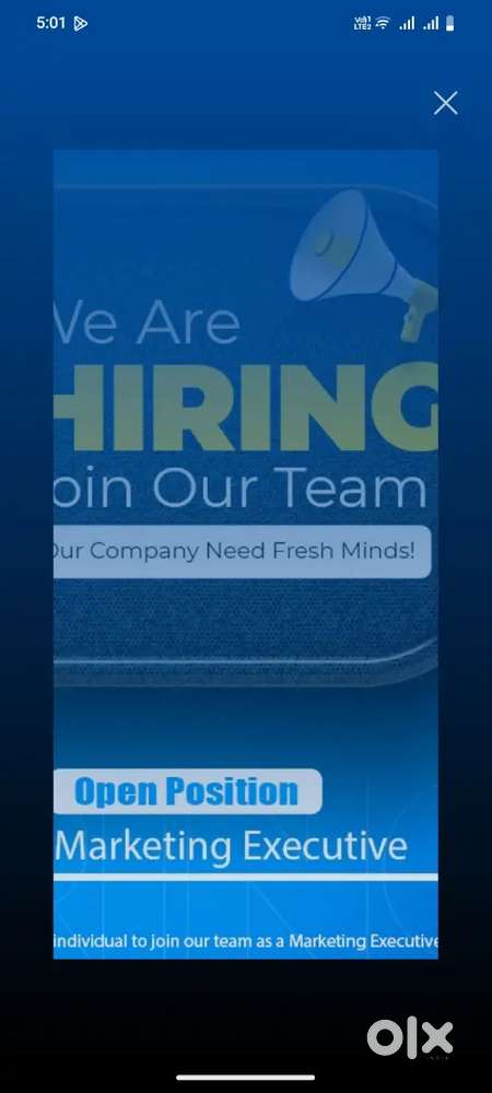 Marketing Executive