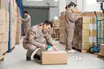 Warehouse job (Packing -Sorting and Loading)