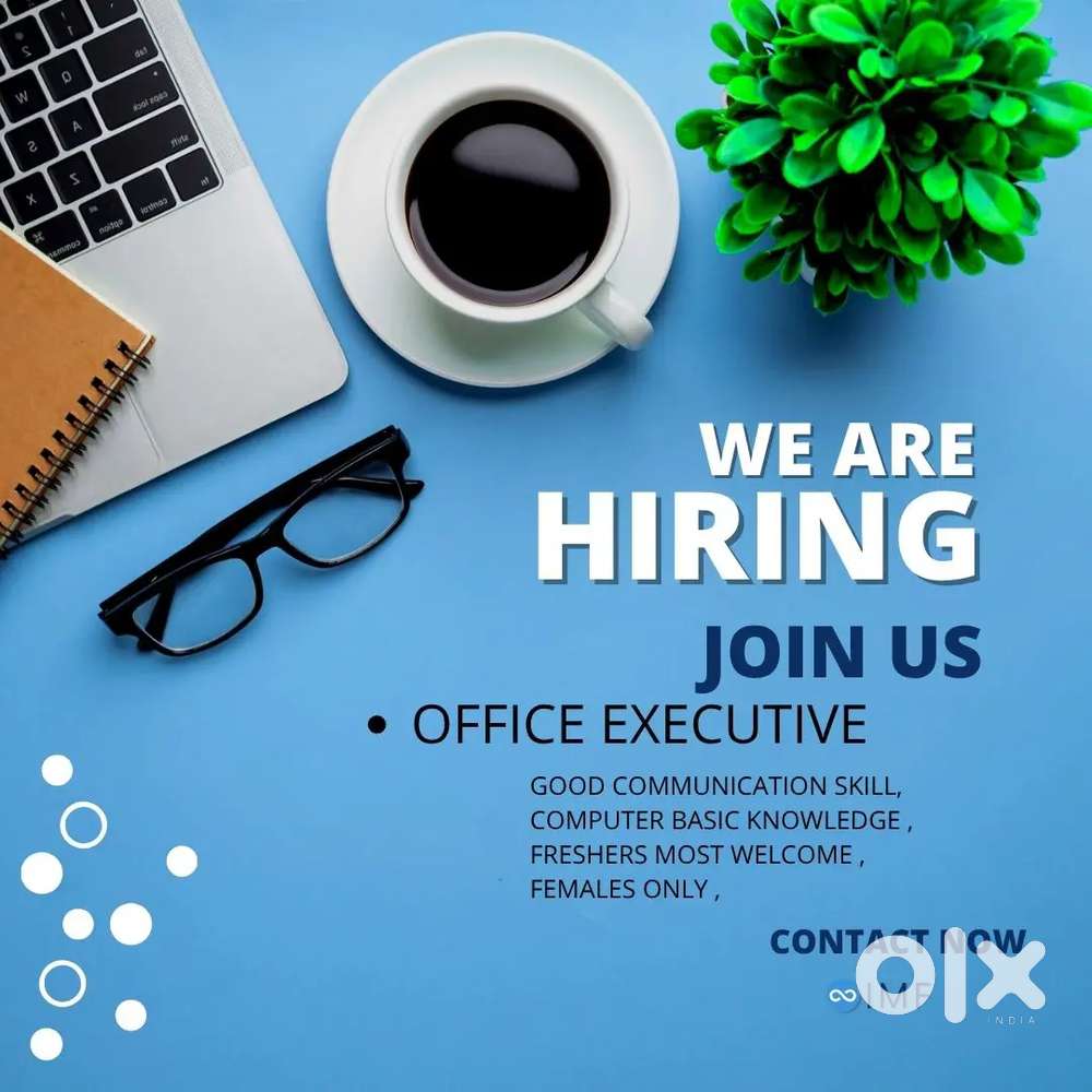 Office Executive