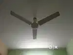 5 Ceiling fans in cheap rate