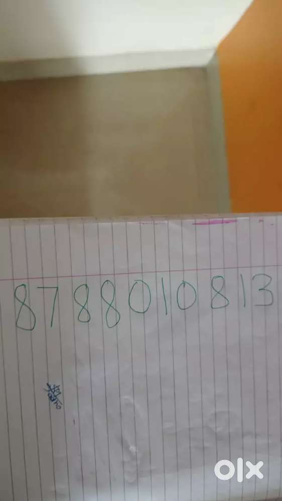 We are renting our house