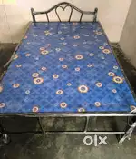 6x4 Sturdy Metal Cot with Clean Plywood Deck