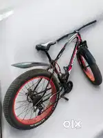 Sports bicycle with broad wheels