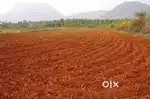 Agriculture Land for Sale at Vatpally, Pothulaboguda near Jogipet