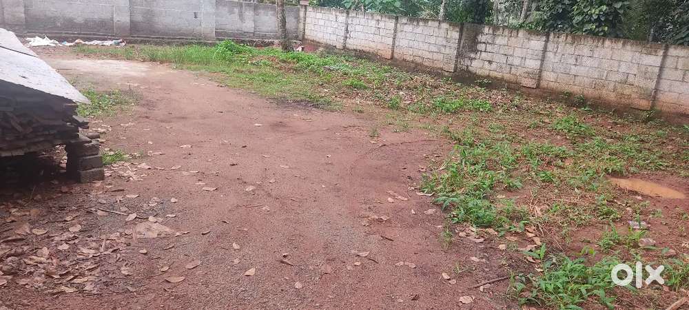 5 cent plot for sale paraniyam vazhimuk junction