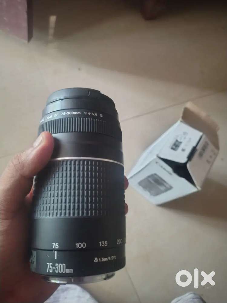 Canon 70-300 zoom lens
