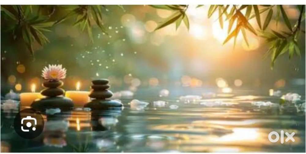 Female vacancy..tellicalling.. therapist ..admin.. manger