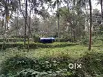 Land for sale 68 cent