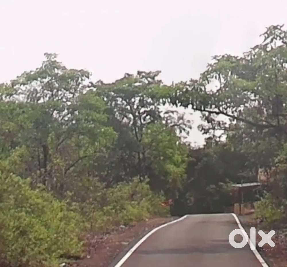 Clear title 150 acre plus land available in Malewad