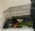 Rabbit’s cage