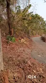 Behind D Lila hall mulgao bicholi Goa