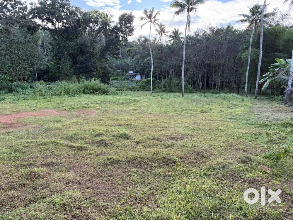 Plot for sale