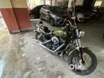 Harley davidson street bob