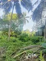 Plot for sale