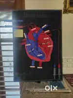 Science experiment working model of human heart