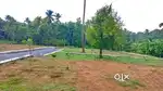 അങ്കമാലി,,, 4,5,6,8,10 സെന്റ് മനോഹരമായ  ഹൌസ് പ്ലോട്ടുകൾ..