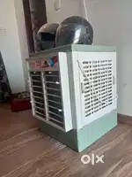 3 Monts Old cooler