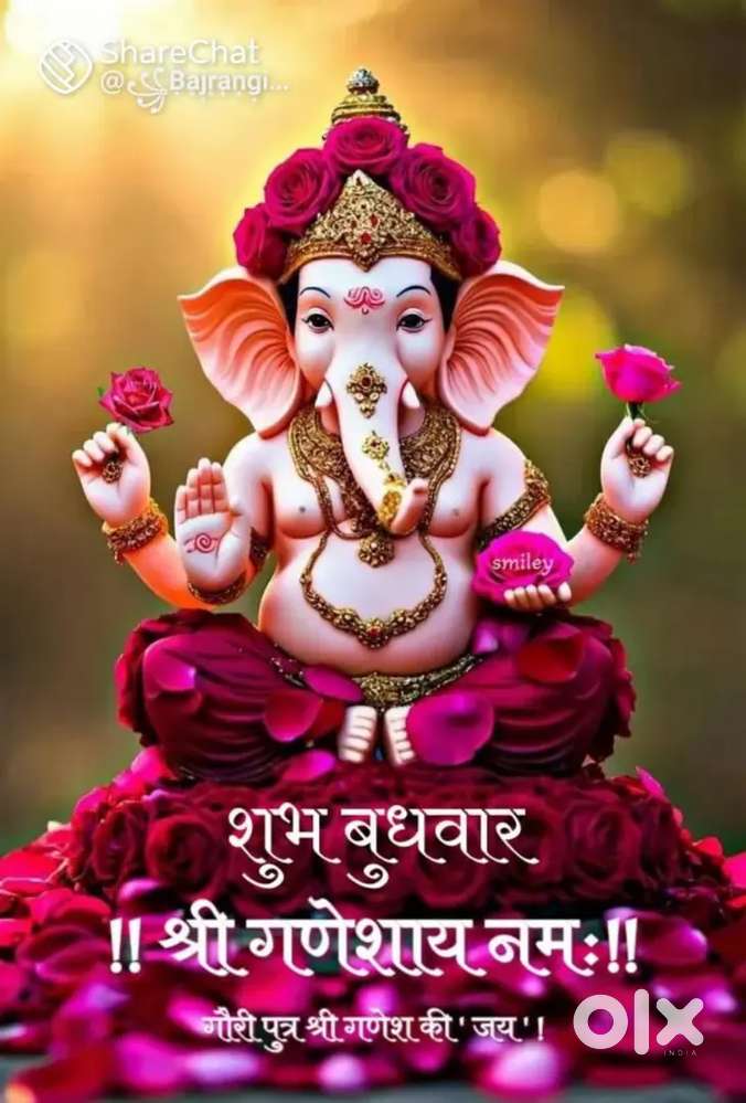 My DL 2017 in running period