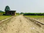 Plots plots plots in doiwala