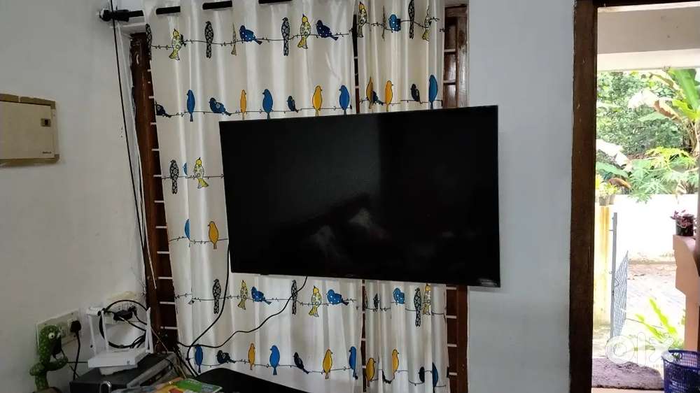 CBSE PLUS TWO TUTION TEACHER