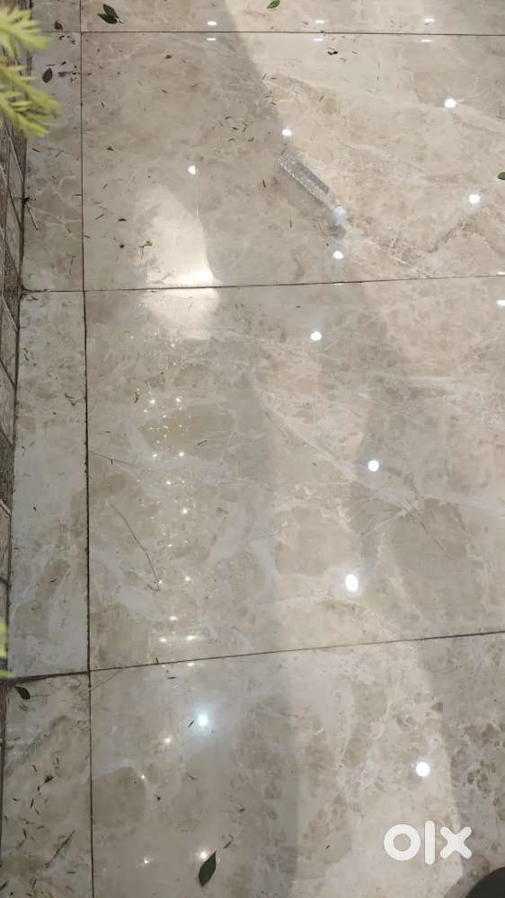 Roommate Required (Only Girls)