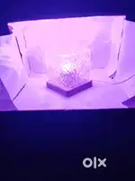 Neon light & Home Decor Lamp