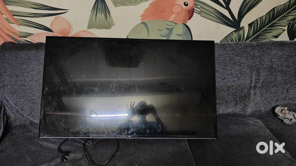 43 inch Tv not working