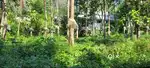 1 acre plot for sale
