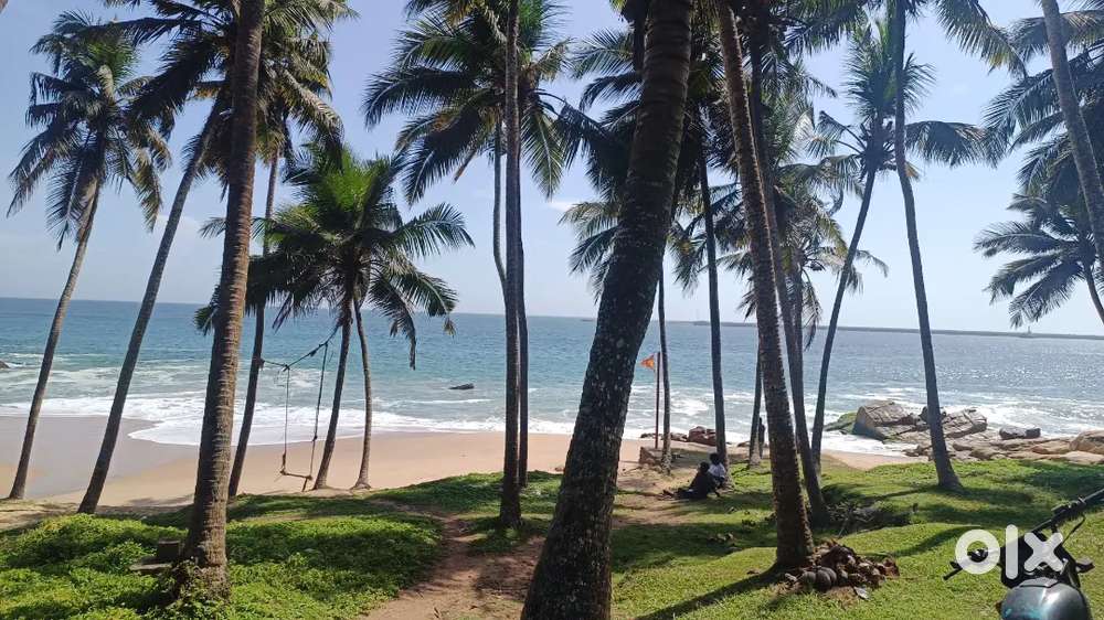 300 MTR Vizhinjam Port 20 Acer commercial plot sale per cent 15 Lakhs