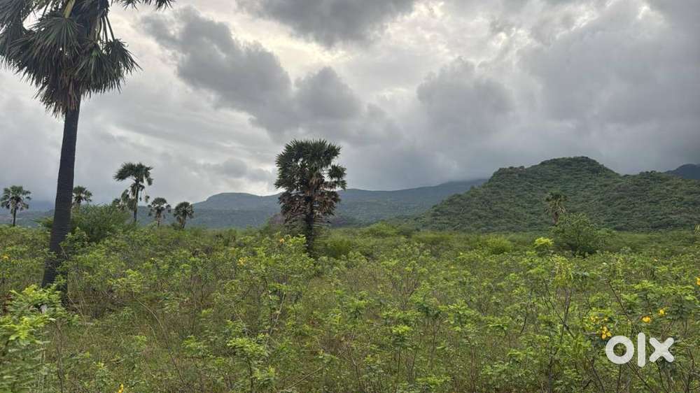 1 Acre farm land for sale in Rosemiyapuram panagudi